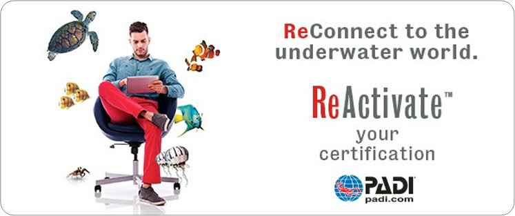 padi-reactivate-course